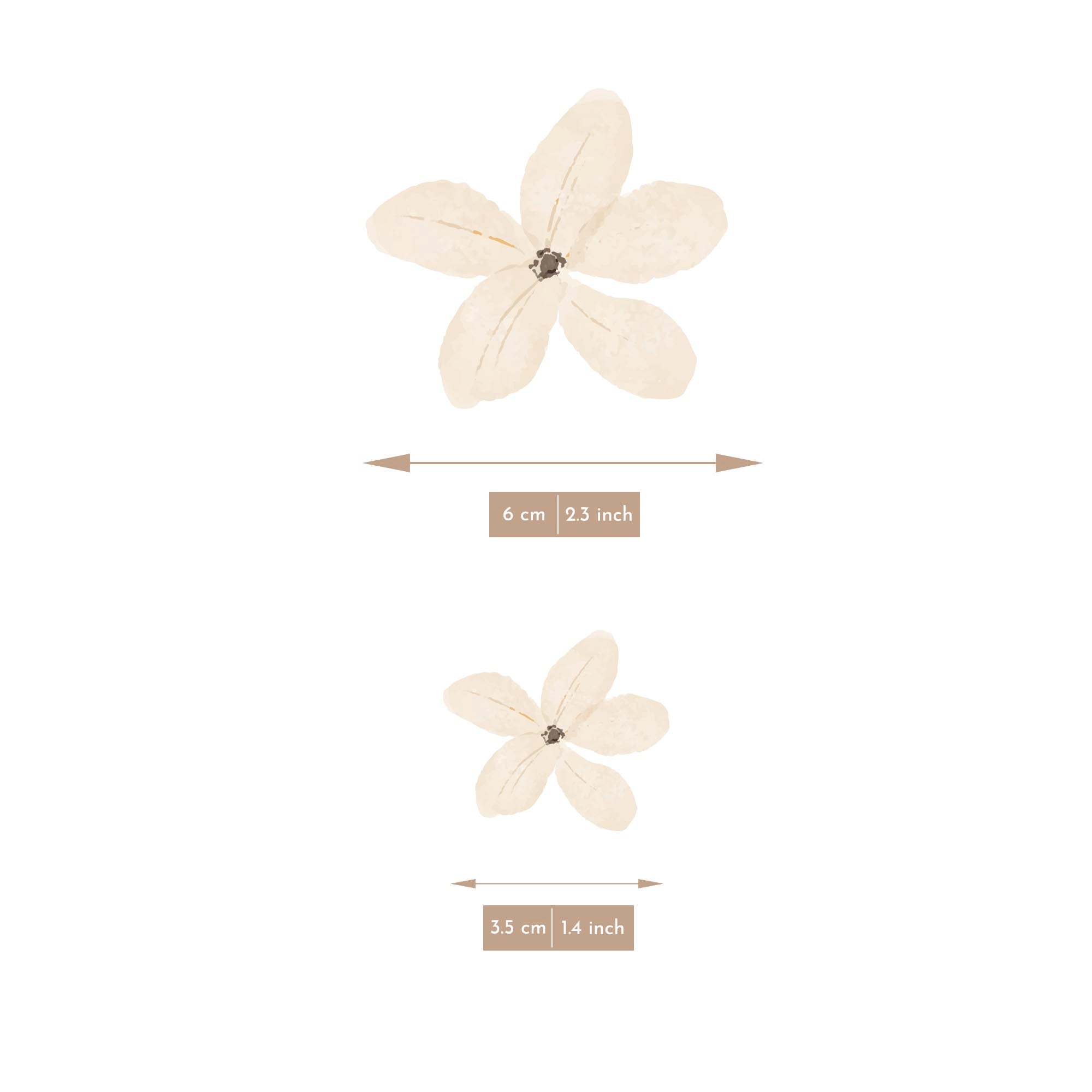 Detalle visual que muestra el tamaño de la flor del vinilo decorativo flores boho, referencia de dimensiones reales del adhesivo pared floral bohemio - Nicolasito.es