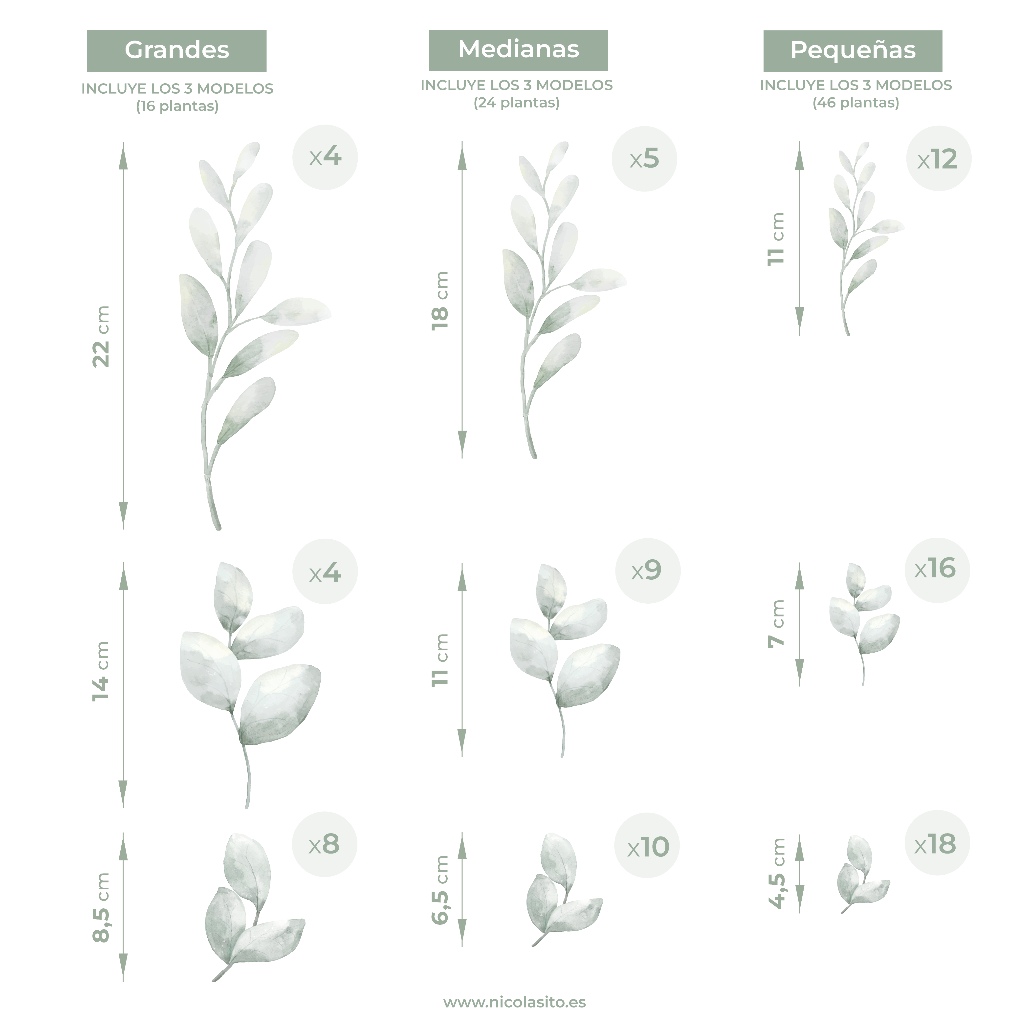 Guía de tamaños del vinilo decorativo de pared, con diseño de conjunto de plantas estilo bohemio de color verde, incluye medidas detalladas de cada elemento para facilitar la instalación personalizada en espacios pequeños o grandes - Nicolasito.es