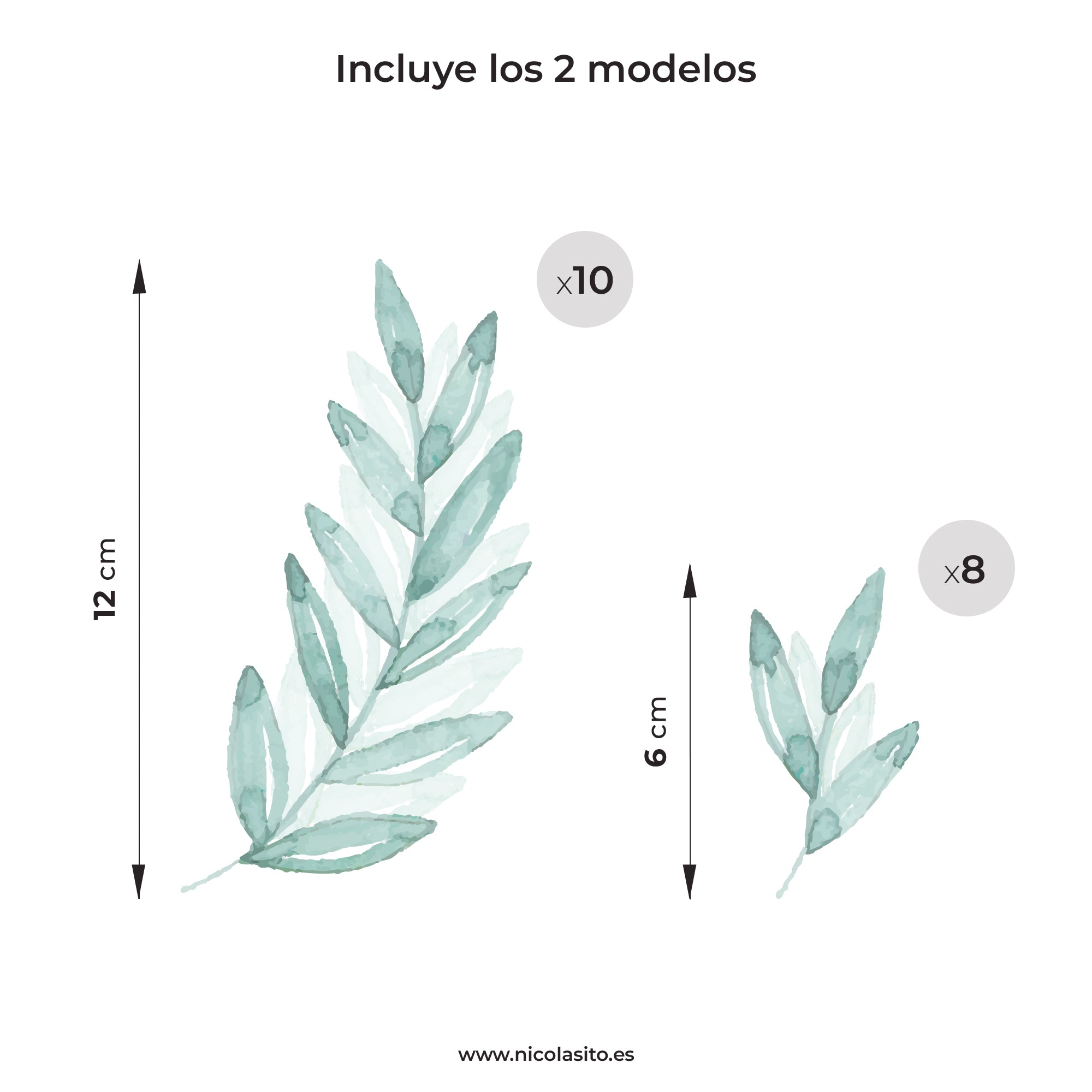 Referencia de las dimensiones a tamaño real de de cada vinilo decorativo de plantas laurel - Nicolasito.es