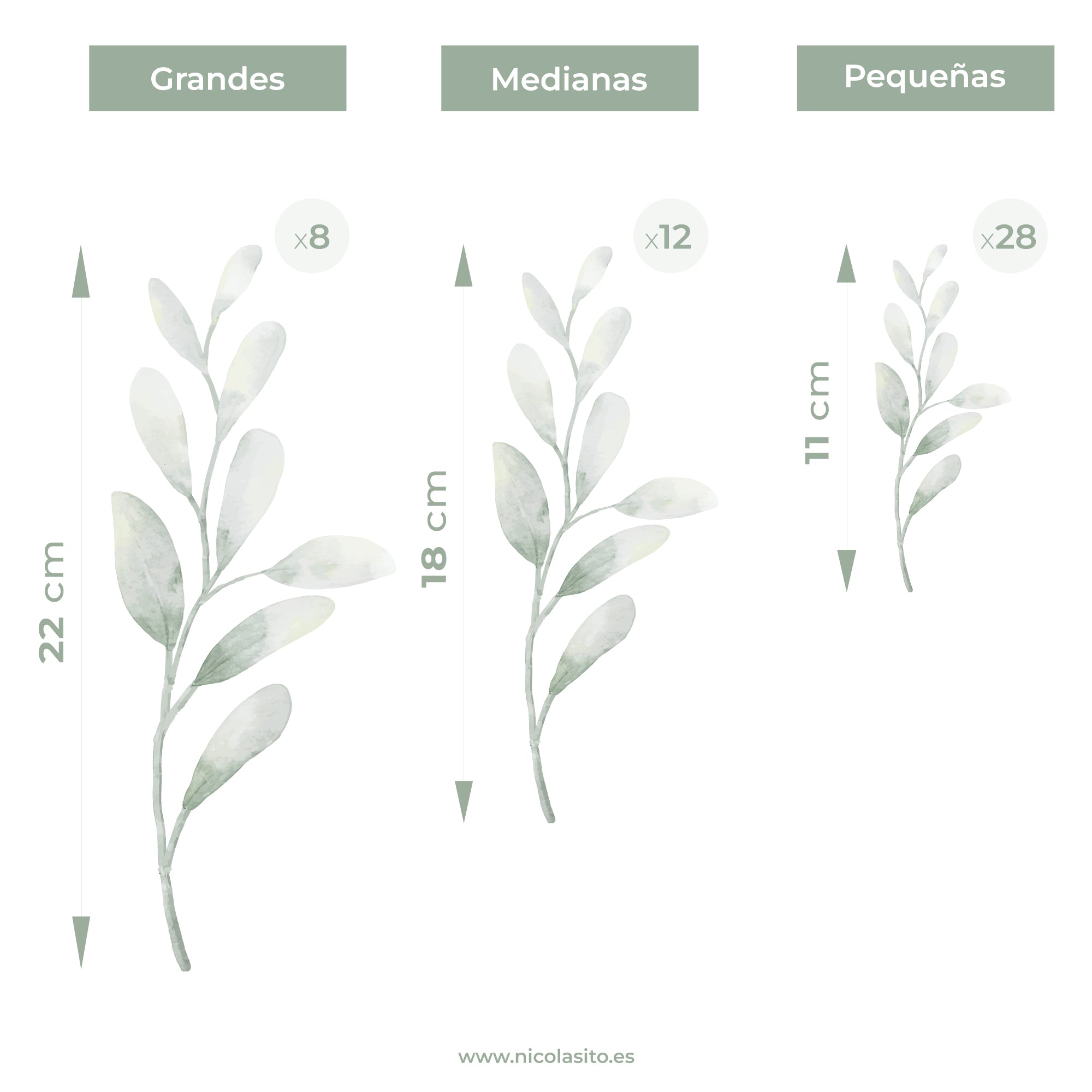 Imagen que muestra en detalle el vinilo decorativo plantas espiga bohemio mostrando los tres tamaños disponibles, adhesivo de pared disponible en tamaño pequeño, mediano y grande para adaptarse a cualquier espacio y decorar dormitorios, salones o recibidores con estilo boho natural - Nicolasito.es