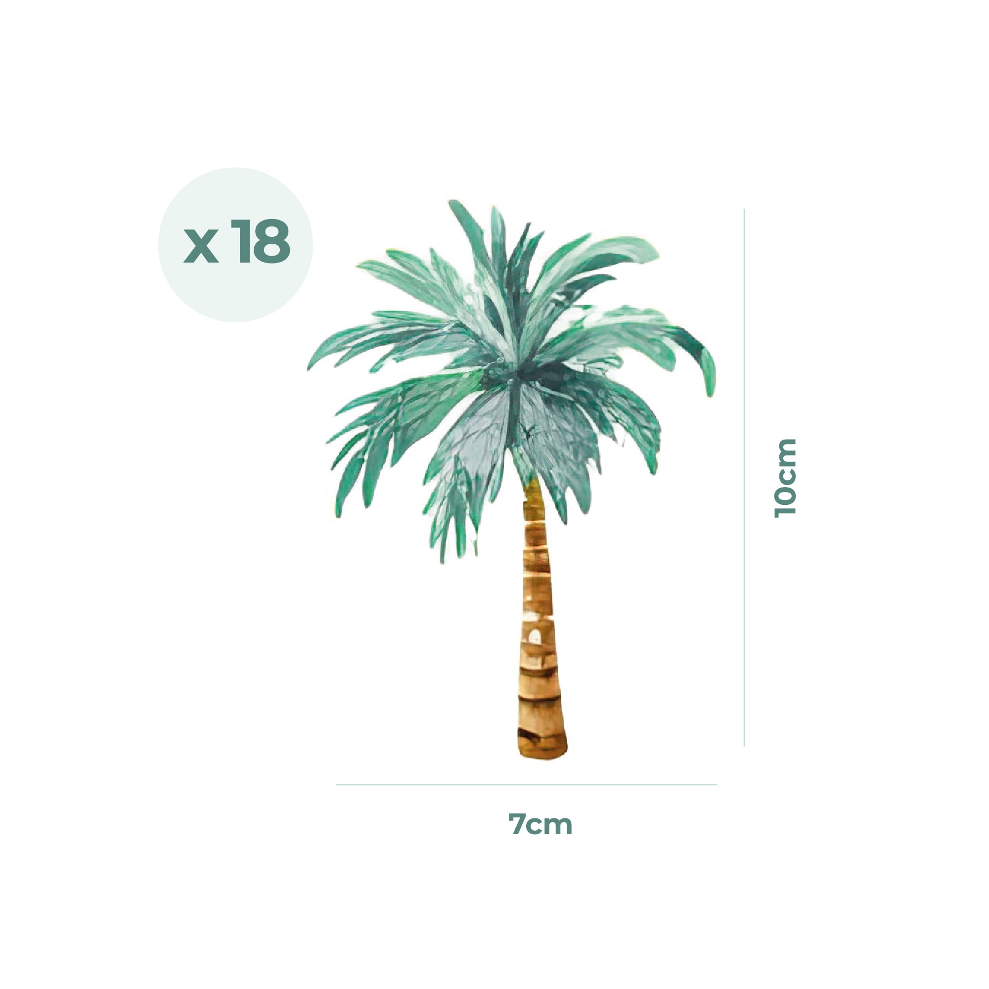 Imagen guía de las medidas del vinilo adhesivo de pared palmeras tropicales. Adhesivo removible decoración exótica hogar o dormitorio - Nicolasito.es