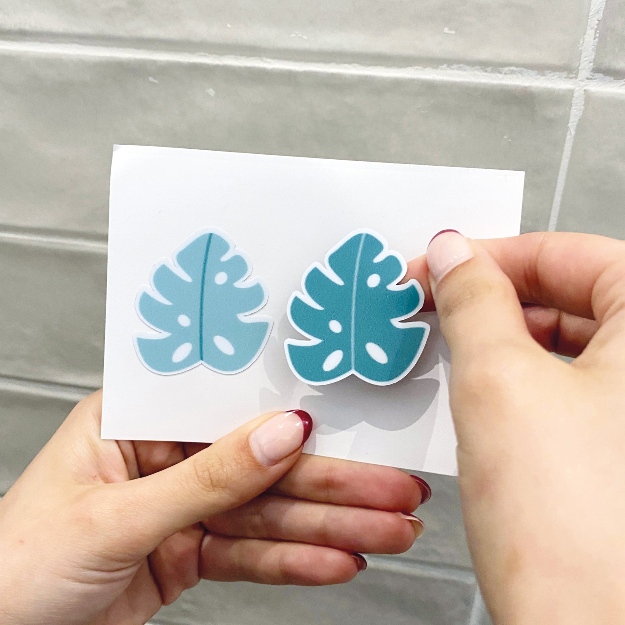 colocación de pegatinas antideslizantes para evitar resbalones en forma de plantas monstera sobre superficie de bañera blanca y lisa - Nicolasito.es