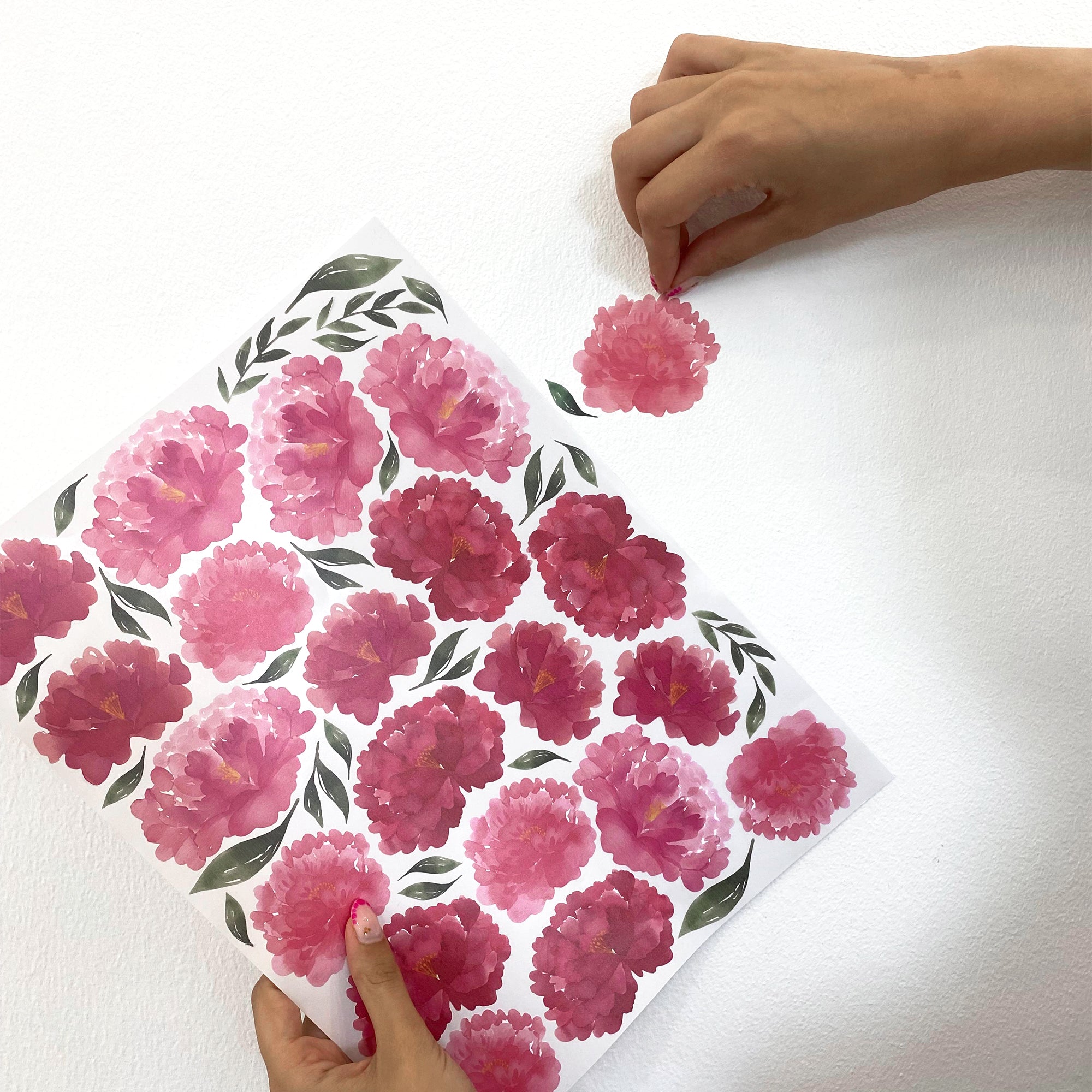 Video demostración de aplicación de vinilo decorativo flores peonias en pared - Nicolasito.es