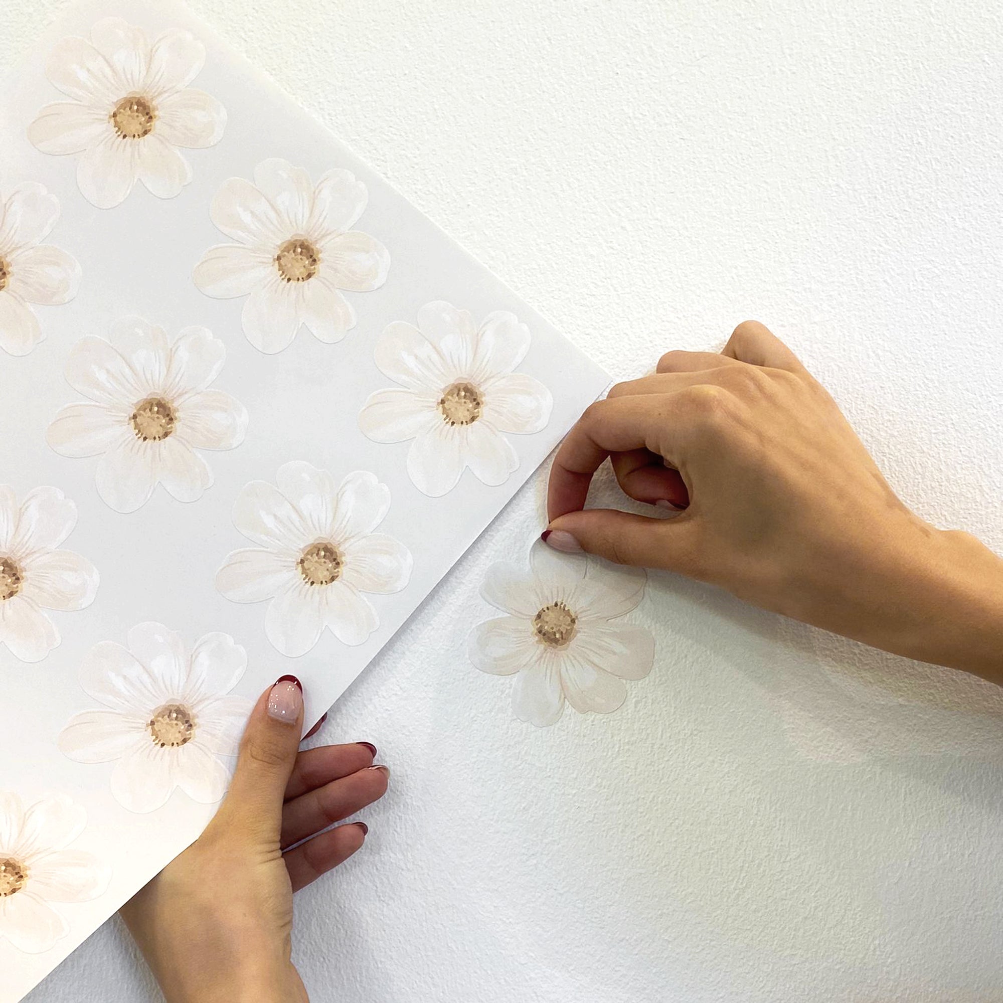 Video mostrando la instalación paso a paso y el resultado final del vinilo decorativo de paredes en forma de flores margarita - Nicolasito.es