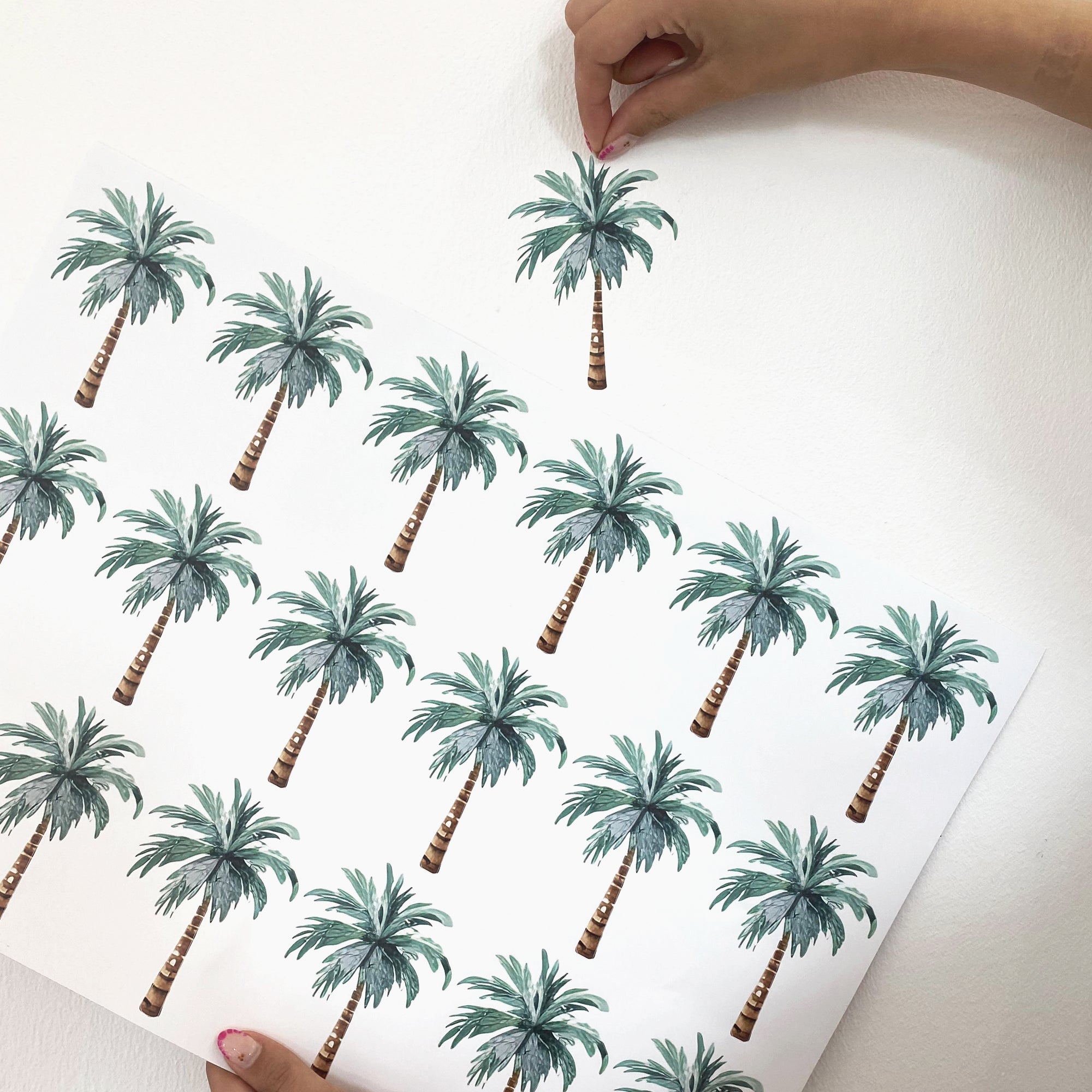 Video instalación paso a paso del vinilo decorativo adhesivo de pared palmeras tropicales. Adhesivo pared removible decoración exótica hogar - Nicolasito.es