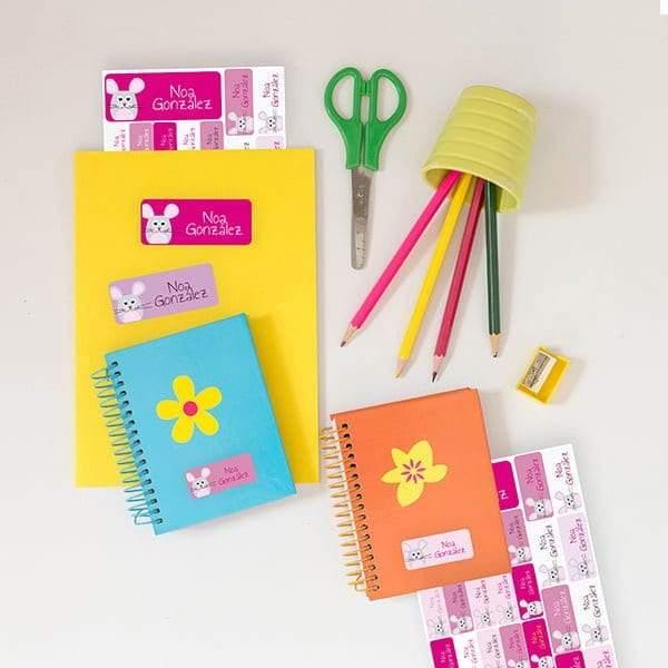 Pegatinas personalizadas Ratones rosas Nicolasito