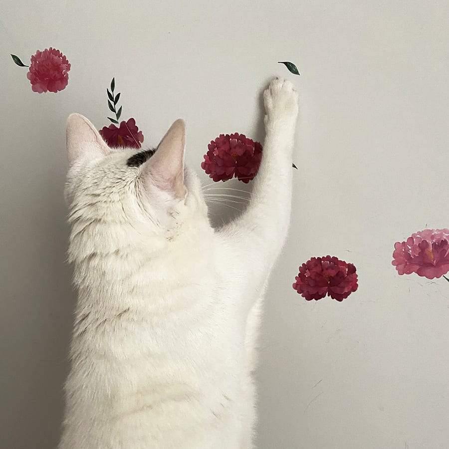 Vinilo decorativo de paredes flores peonías colocados en la pared. Adhesivo de alta calidad con acabado mate - Nicolasito.es