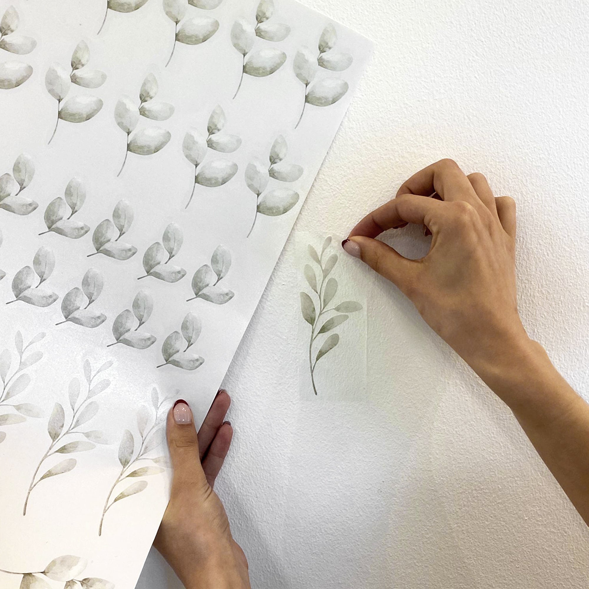 Video demostrativo del vinilo decorativo conjunto plantas estilo bohemio, mostrando paso a paso cómo colocar fácilmente el vinilo en la pared para decorar dormitorios o salones con un estilo natural y acogedor - Nicolasito.es